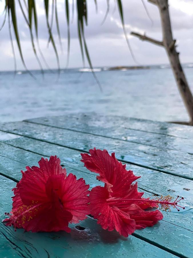 Miracle ocean Villa Matara Exteriör bild